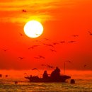 춤추는갈매기 이미지