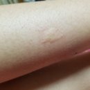 차서역침한의원 이미지