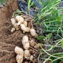 대성고등학교 이미지