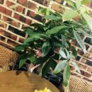 클라우드커피숍 이미지