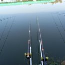 신왕지낚시터 이미지