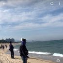 서프루어 인싸 이미지
