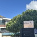 수원-0882 | 수원 행궁동 양식 맛집 “핑크페퍼” 방문 후기