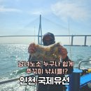 [인천] 쭈꾸미, 갑오징어 선상낚시 🐙 국제유선 해피호 내돈내산 솔직후기