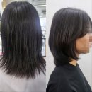 고고헤어샵 - 안산시 상록구 | 아산헤어샵 재방문 솔직 후기! 상한 머릿결 복구하고 왔어요