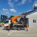 숲속온누리약국 이미지