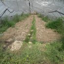 성하농장 이미지