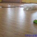 평택도곡초등학교 이미지