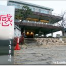 사계우동 Daum카페