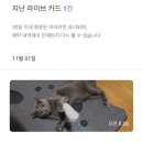 펫트너 | [펫시터 어플] 와요 vs 펫트너 이용 방법, 가격, 솔직 후기