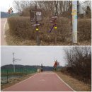 디엠지스테이 이미지