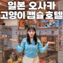 창너머 고양이 | [오사카 숙소] 고양이 캡슐호텔 Neco Republic Osaka 후기