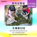 도토리숲 어린이집 이미지