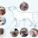 북광주동물약국 이미지