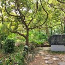 문동일셰프녹차고을 이미지