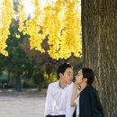 옐로우블룸