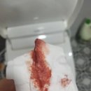 엘소리