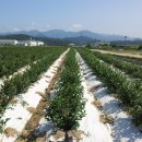 후겸농장 이미지