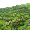 5월 22일 일요당일 -＜블랙야크100/국립공원＞- 소백산 비로봉+연화봉+철쭉 신청안내(28인승) 이미지