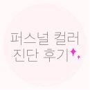 팔렛두두 | [퍼스널컬러진단후기]강남 오프진단/컬러컨설팅/봄웜톤(라이트봄)/추천템