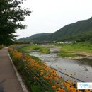 일단정지카센타 이미지