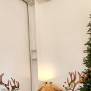 도즈커피 이미지