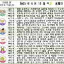 2023년 6월 15일 운세 및 세상 소식 이미지