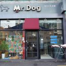 미스터독 | [비숑미용] 부산 서면 비숑미용실 추천, 미스터독 후기