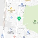 청년피자 장성점