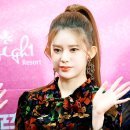 데이지 뮤직 이미지