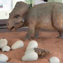 화성 공룡알화석지와 소래 생태습지공원 이미지