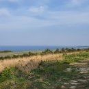 스테이 대흥 이미지