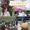 광주근교 가볼만한 곳 전남축제 2025 곡성 세계장미축제 영업시간 및 다녀온 후기