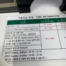 남산&N서울타워 | [서울 용산구] 남산타워(N서울타워) 아이와 함께한 방문 후기｜케이블카·주차 정보 총정리