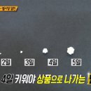 스위텍
