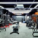 하이프(HIFE) 이미지