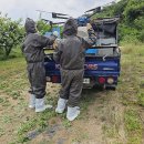 김중환농장 이미지