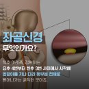 뿌리신경외과의원 이미지