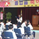 동량초등학교 이미지