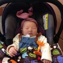 뎅뎅이랜드 이미지