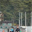 어은돌민박 티스토리