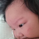 프리한걸 | #수유쿠션 추천 / 베이비스텔라 면100수 양손프리 수유쿠션