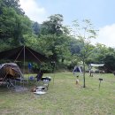 산새소리캠핑장 이미지