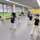 하랑태권도 이미지