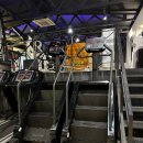 피트니스247 이미지