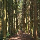 신례2리(공천포) 4 | 흐려도 분위기, 신례1리ㆍ신례2리마을