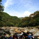 꿈과 열정이 넘쳤던 지리산 서산대사 옛길 (재광 진도군 향우회 가을 야유회) 이미지