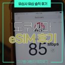 이심점심 | 유심사 도쿠시마 이심, 실제로 사용해 본 솔직 이용 후기