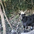 만재도보건진료소 이미지