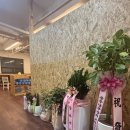 피트미스(FITTMISS) 이미지